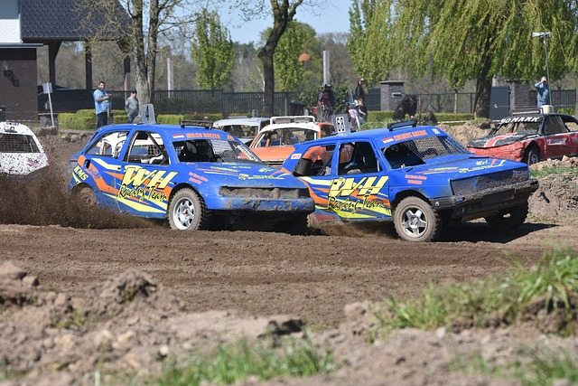 体育竞技 体育竞技