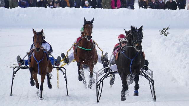 议的背后 议的背后