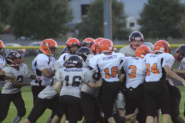 了明星球员 了明星球员